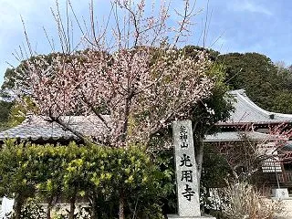 霊夢の薬師仏と歩む歴史の静寂——京ヶ峰の…