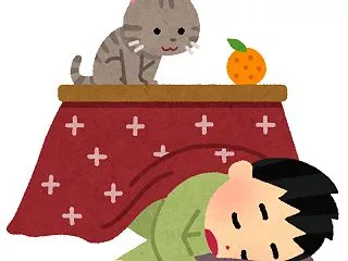 余りに寒いのでコタツを解禁した60代