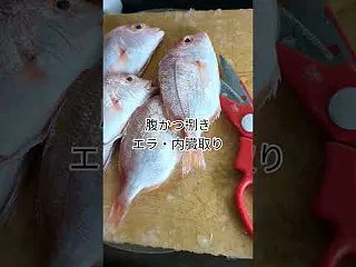 ５匹400円「刺身用レンコ鯛」の干物、気…