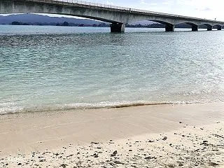 沖縄本島で犬と旅行するときのガイド｜美ら…