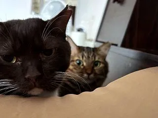 自分のプラスになる人、ならない人
