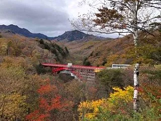 あと一歩、八ヶ岳南麓の紅葉