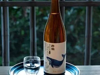 酔鯨 特純 しぼりたて 生