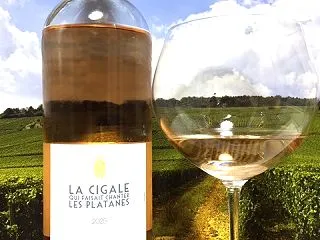M. Chapoutier La Cig…