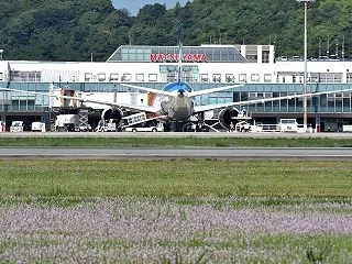 松山空港(その6)／航空機
