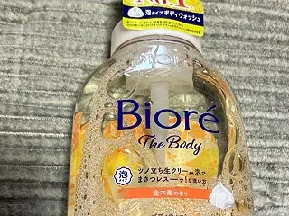 年収控えめ家庭、甥っ子姪っ子に手土産を持…