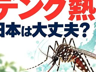 バングラデシュでデング熱が急増。日本は大…