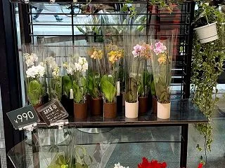 【ユニクロ】大きなお買い得商品!!