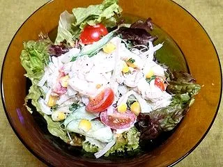 鶏むね肉と野菜のサラダ：10月のひとり居…