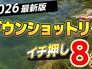 【2026年版】ダウンショットリグおすす…