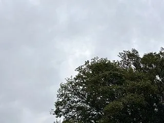 少しでもウォーキング