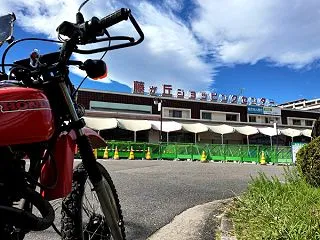 カラフルな絨毯みたい！緑区の「ケイトウの…