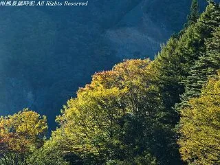 絶景！大鹿村鳥倉林道（その２）