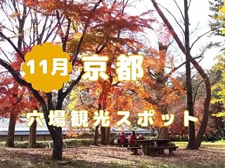 京都【11月の穴場2026】混雑回避で快…