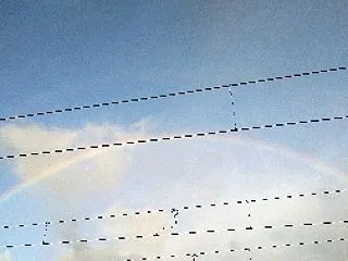 虹