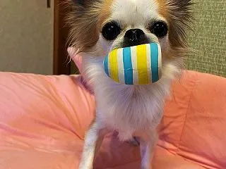 終わりよければ全てよし
