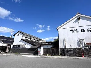 萩の地魚ランチ