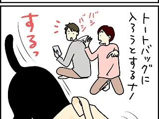 猫は入るよどこまでも