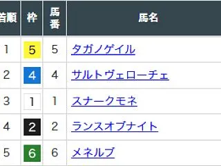 菊花賞の結果と、天皇賞（秋）とファンタジ…