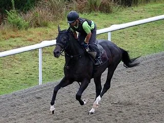 ☆★☆ コントレイル産駒がGⅠ勝ちました…