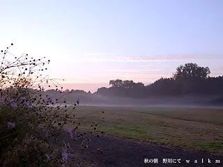 秋の朝。