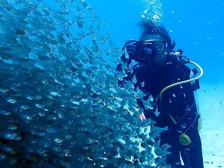 ヌヌ・アドベンチャー・クラブ石垣島ＮＥＷ…