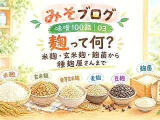 味噌100話｜03 麹って何？米麹・玄米…