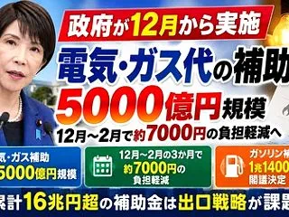 [政府] 12~2月の電気ガス代約700…