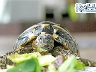 朝ご飯は寒いから食べたくないんだよ