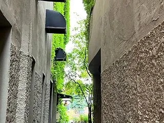 「ネルソンさん、あなたは人を殺しましたか…