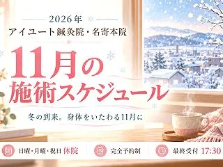 11月のスケジュール 