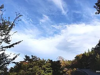 『３年ぶりの三峯神社 (お久ぶりっ子、み…