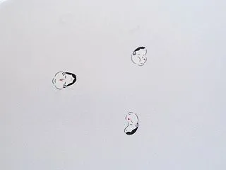 《オンラインショップ掲載情報》長襦袢「女…