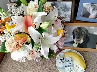 黒ラブ・リックンの命日