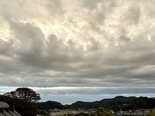 今年もいろいろ楽しませてもらった野球シー…