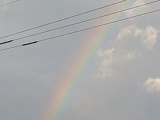 朝から綺麗な虹空