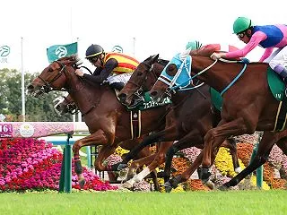 無料予想【ファンタジーステークス2026…