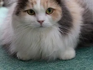 近況