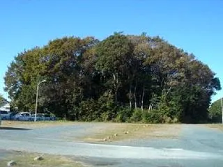 短甲,冑,銅鏡が出土 古墳時代中期(4～…