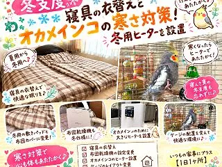【冬支度】寝具の衣替えとオカメインコの寒…