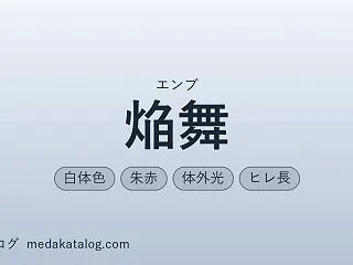 焔舞（えんぶ）とは｜特徴・値段・固定率と…