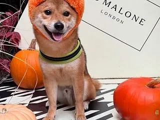 恒例のハロウィン仮装