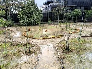 ストーブの登場・・・。