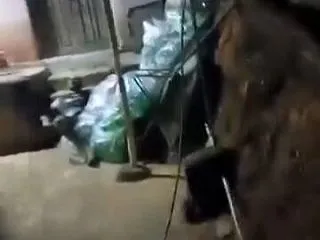 自宅の玄関先で男性が殺害される