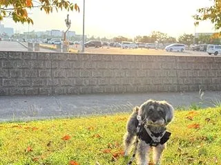 ラスカル公園の世代交代