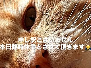申し訳ございません、臨時休業致します