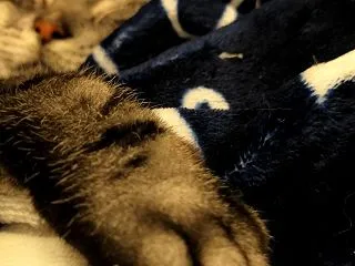 【コラム】なるようになっていくさ