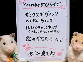 YouTubeライブ配信のお知らせ