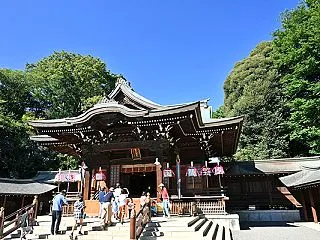 善福寺川周辺10月 井草八幡宮例大祭