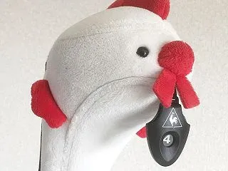 ギックリ腰で無念のシーズンオフ